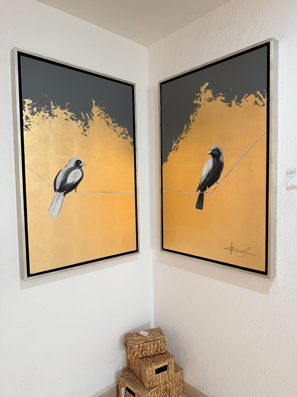 Set Cuadros decorativos Reencuentro Aves