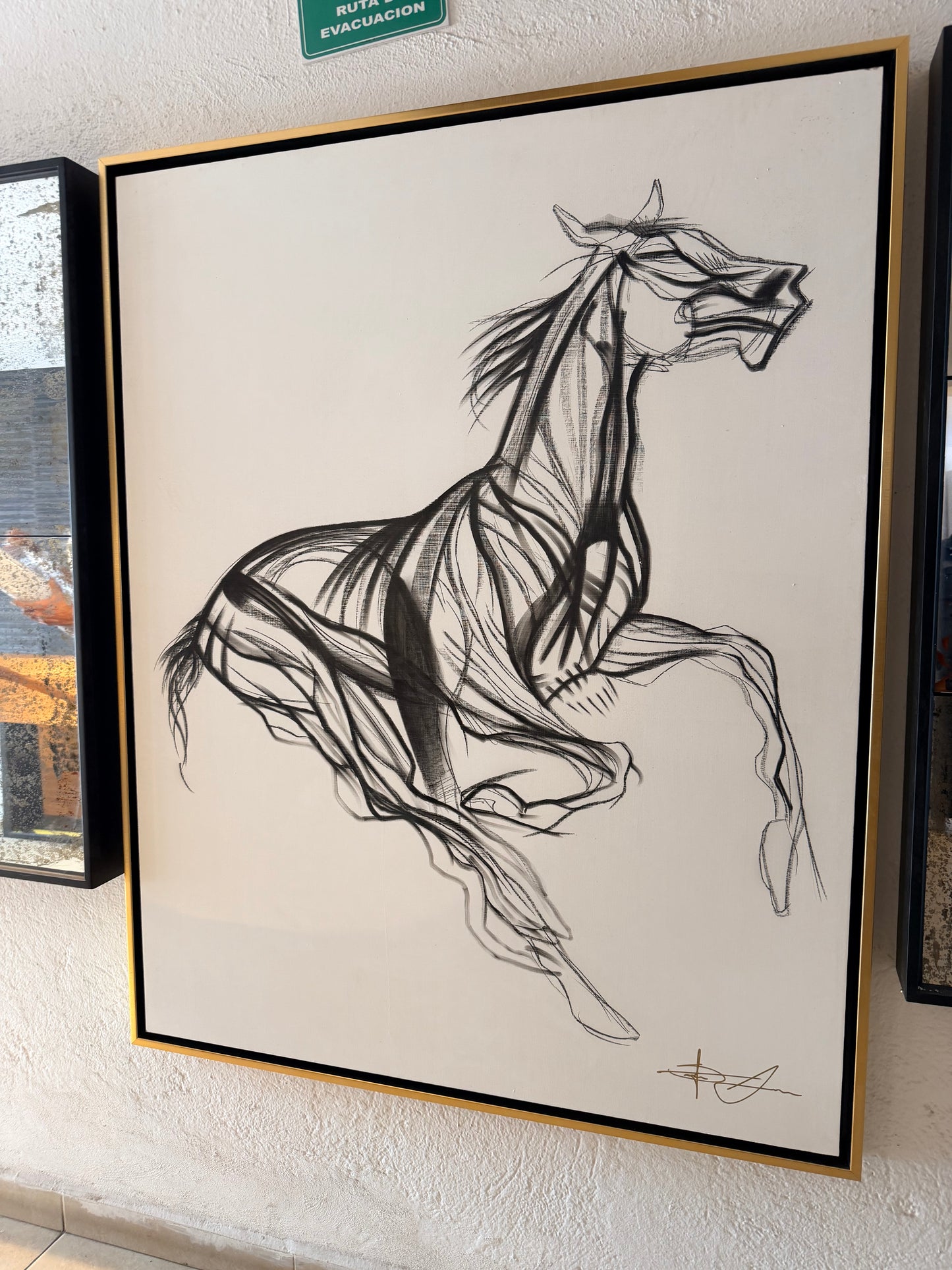 Cuadro decorativo caballo a galope