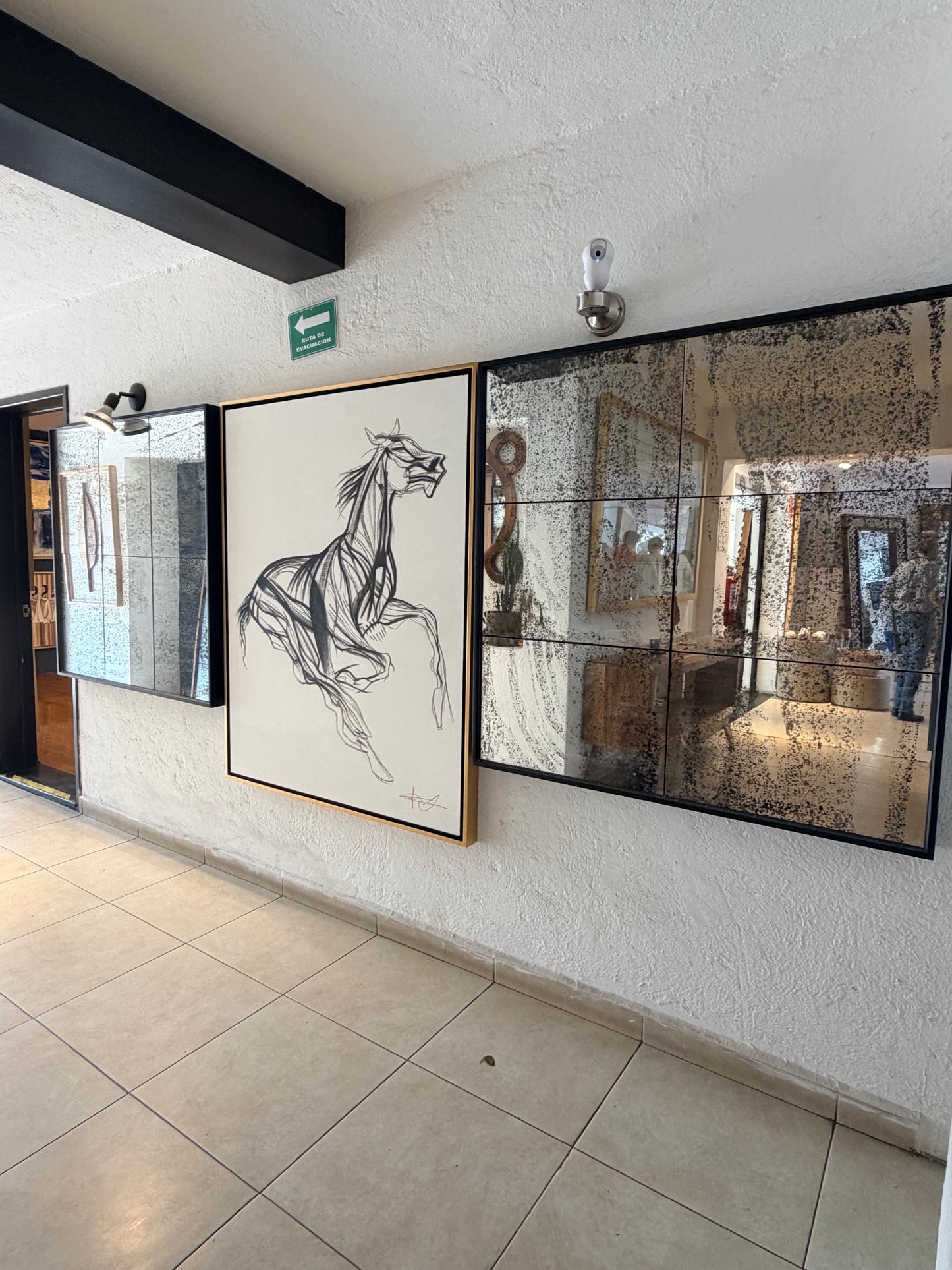 Cuadro decorativo caballo a galope